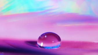 Macro water drops wallpaper
