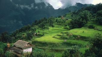 Nepal clouds grass gray green wallpaper