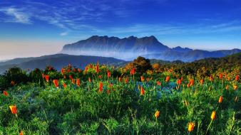 Thailand spring wallpaper