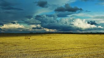 Ukraine nature prairie wallpaper