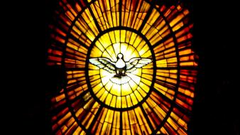 Animals birds lights pigeons stained glass wallpaper