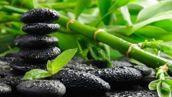 Bamboo stones water drops wallpaper