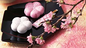 Japan japanese food art wallpaper