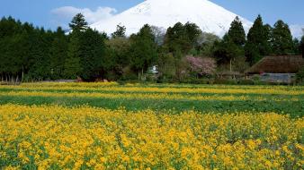 Japan landscapes mountains nature wallpaper
