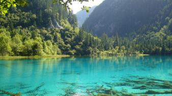 Nature trees valleys water wallpaper