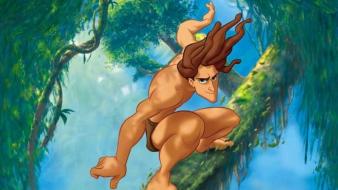 Cartoons disney company tarzan wallpaper