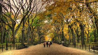 Central park wallpaper