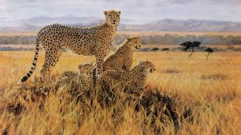 Cheetahs artwork master piece savanna wallpaper