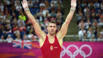 Gymnast athletes hungarian gymnastics olympics 2012 wallpaper