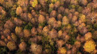 Landscapes nature lithuania baltic states unseen wallpaper