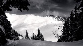 Landscapes nature winter monochrome wallpaper