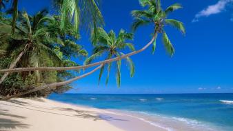 Nature beach fiji wallpaper