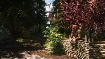 Nature the elder scrolls v: skyrim wallpaper