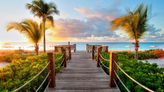 Ocean bridges palm trees wallpaper