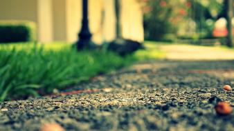 Path rocks depth of field wallpaper