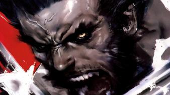 Wolverine wallpaper