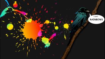 Birds colors funny gray minimalistic wallpaper