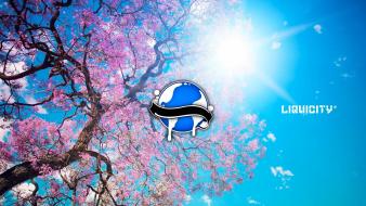 Blossoms drum and bass liquicity wallpaper