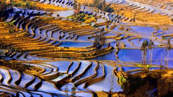 China yunnan agriculture landscapes nature