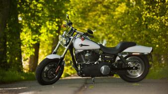 Harley davidson motorbikes