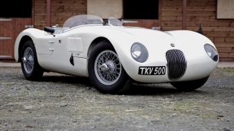 Jaguar c-type cars wallpaper