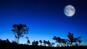 Moon night wallpaper