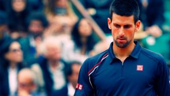 Novak djokovic tennis players wallpaper