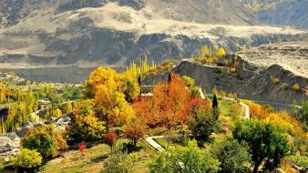Pakistan autumn ganesh grass green wallpaper